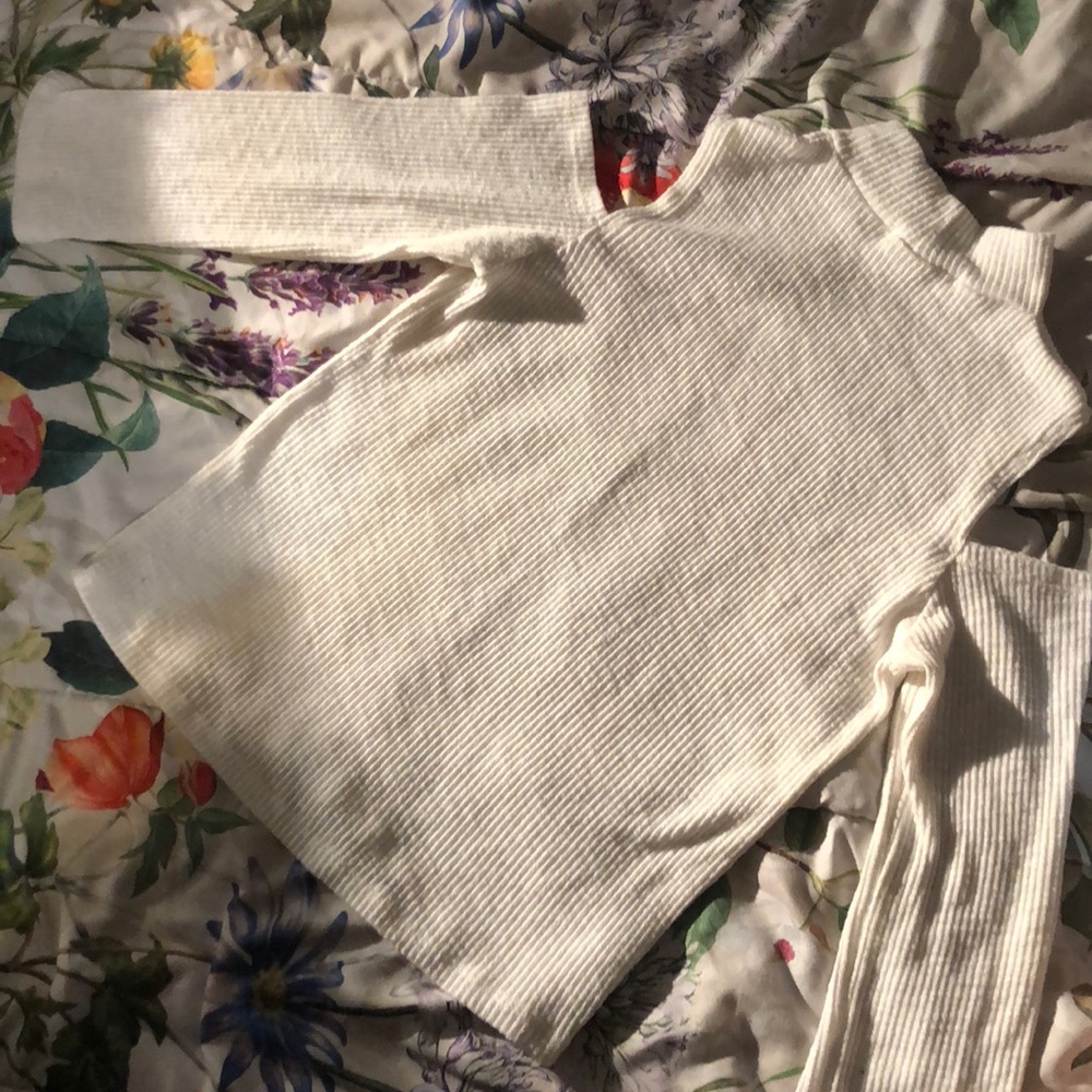 cropped turtle neck